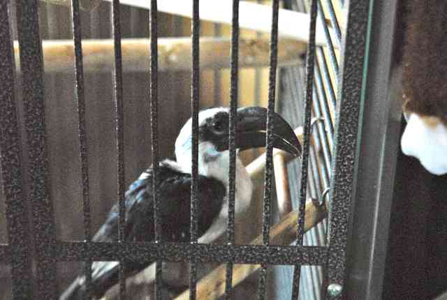 My visit to Forever Wild
