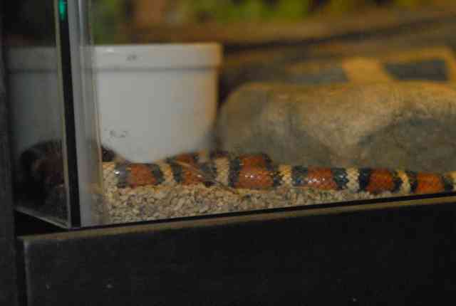 My visit to Forever Wild