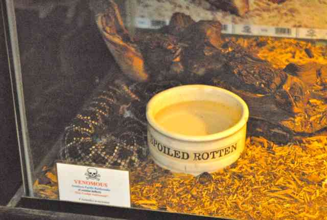 My visit to Forever Wild