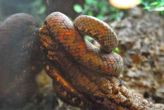 My visit to Forever Wild