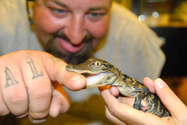 My visit to Forever Wild