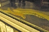 My visit to Forever Wild