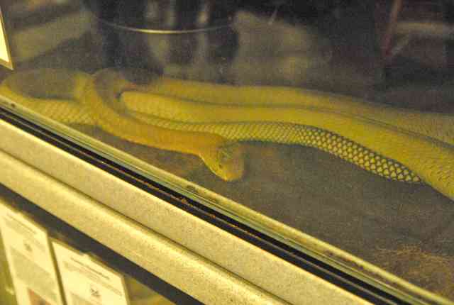 My visit to Forever Wild