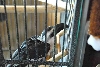 My visit to Forever Wild