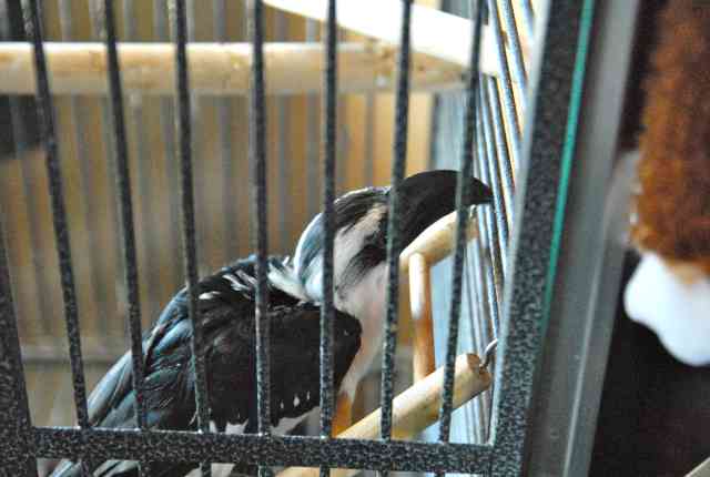 My visit to Forever Wild