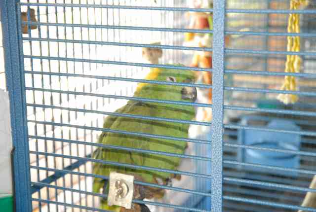 My visit to Forever Wild
