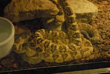 My visit to Forever Wild