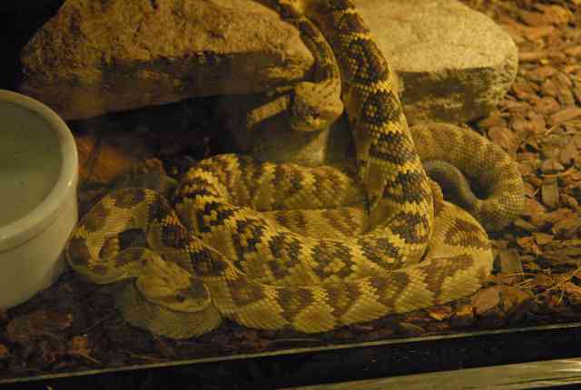 My visit to Forever Wild
