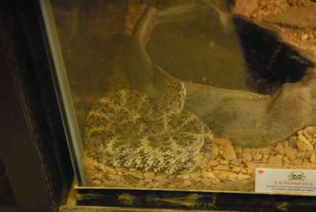 My visit to Forever Wild