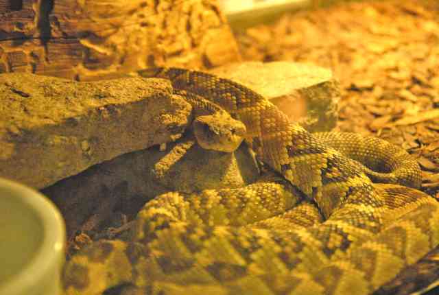 My visit to Forever Wild