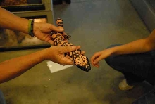 My visit to Forever Wild