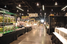 Scenes from NARBC Anaheim 2010