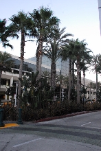 Scenes from NARBC Anaheim 2010