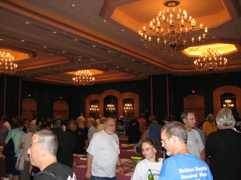 Saturday Night Auction