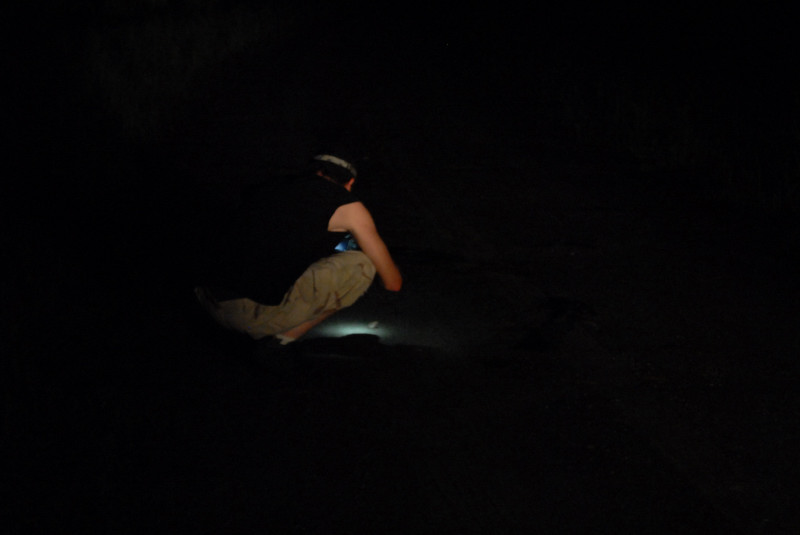 Post daytona field herping with Jaffo and Eric
