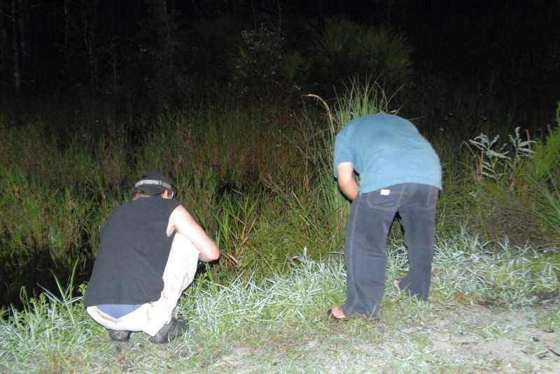Post daytona field herping with Jaffo and Eric