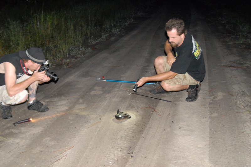 Post daytona field herping with Jaffo and Eric