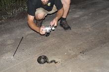 Post daytona field herping with Jaffo and Eric