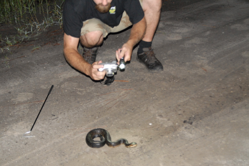 Post daytona field herping with Jaffo and Eric