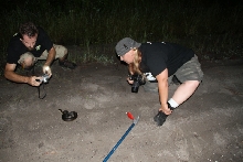 Post daytona field herping with Jaffo and Eric