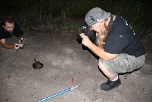 Post daytona field herping with Jaffo and Eric