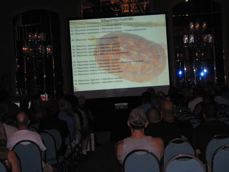 NRBE Talks and wanderings