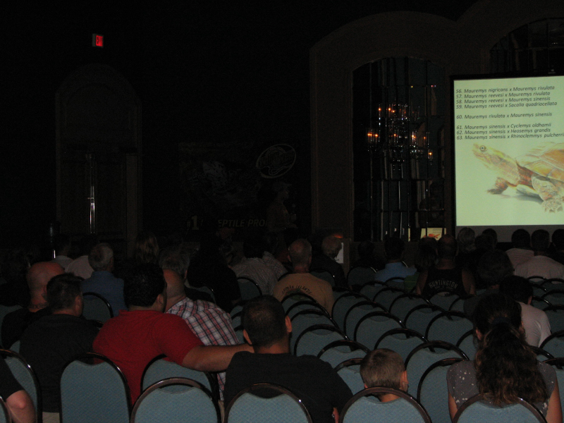NRBE Talks and wanderings