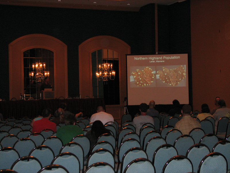 NRBE Talks and wanderings