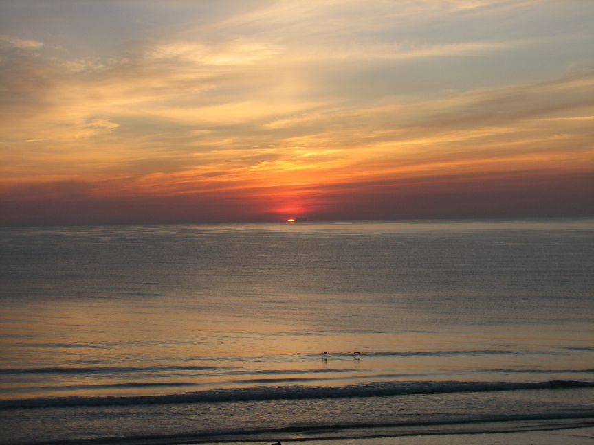 Good morning Daytona