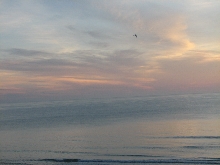 Good morning Daytona