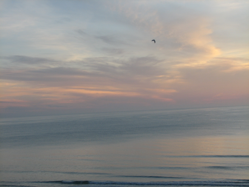 Good morning Daytona