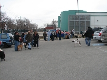 Milwaukee Area Domestic Animal Control 2010 No Pet Left Behind Event