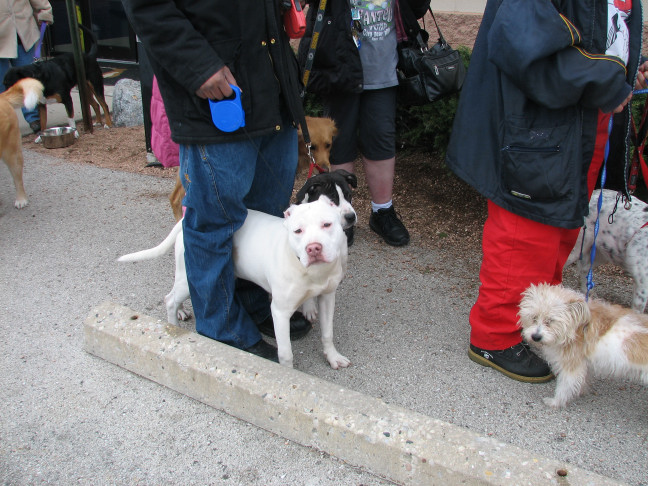 Milwaukee Area Domestic Animal Control 2010 No Pet Left Behind Event