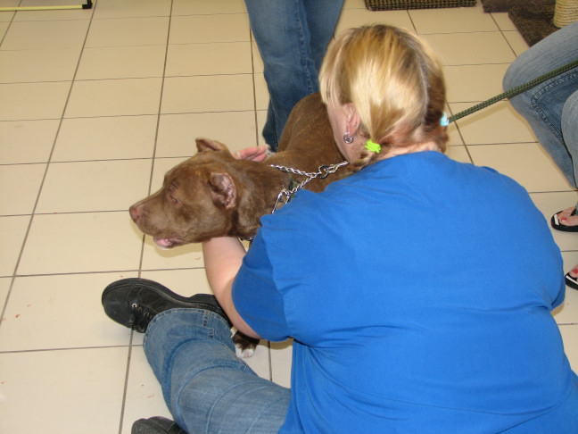 Milwaukee Area Domestic Animal Control 2010 No Pet Left Behind Event