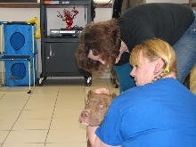 Milwaukee Area Domestic Animal Control 2010 No Pet Left Behind Event