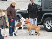 Milwaukee Area Domestic Animal Control 2010 No Pet Left Behind Event