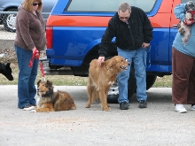 Milwaukee Area Domestic Animal Control 2010 No Pet Left Behind Event