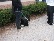 Milwaukee Area Domestic Animal Control 2010 No Pet Left Behind Event