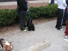 Milwaukee Area Domestic Animal Control 2010 No Pet Left Behind Event