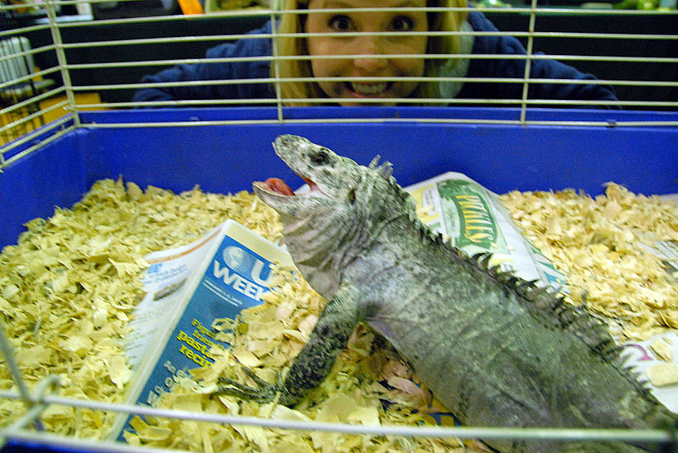 Reptile Rampage 2010