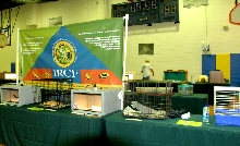 Reptile Rampage 2010