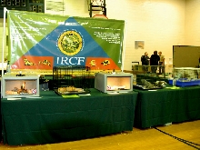 Reptile Rampage 2010