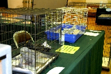 Reptile Rampage 2010
