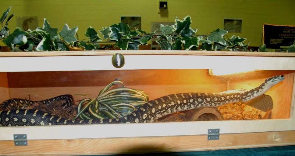 Reptile Rampage 2010