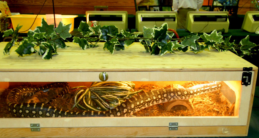 Reptile Rampage 2010