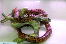 Reptile Rampage 2010