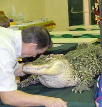 Reptile Rampage 2010
