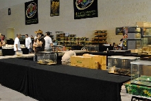 National Reptile Breeders Expo 2010 Friday Setup, Daytona Beach, Florida  -