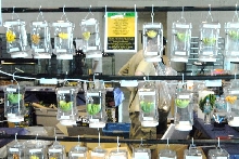 National Reptile Breeders Expo 2010 Friday Setup, Daytona Beach, Florida  -