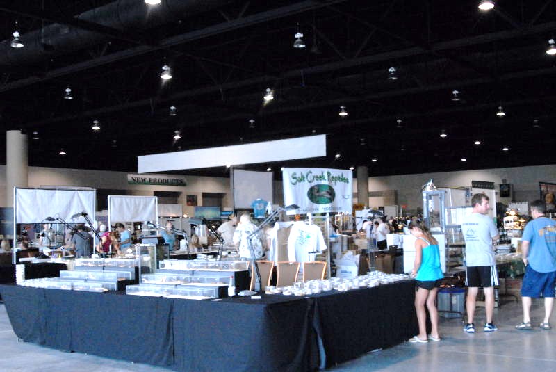 National Reptile Breeders Expo 2010 Friday Setup, Daytona Beach, Florida  -